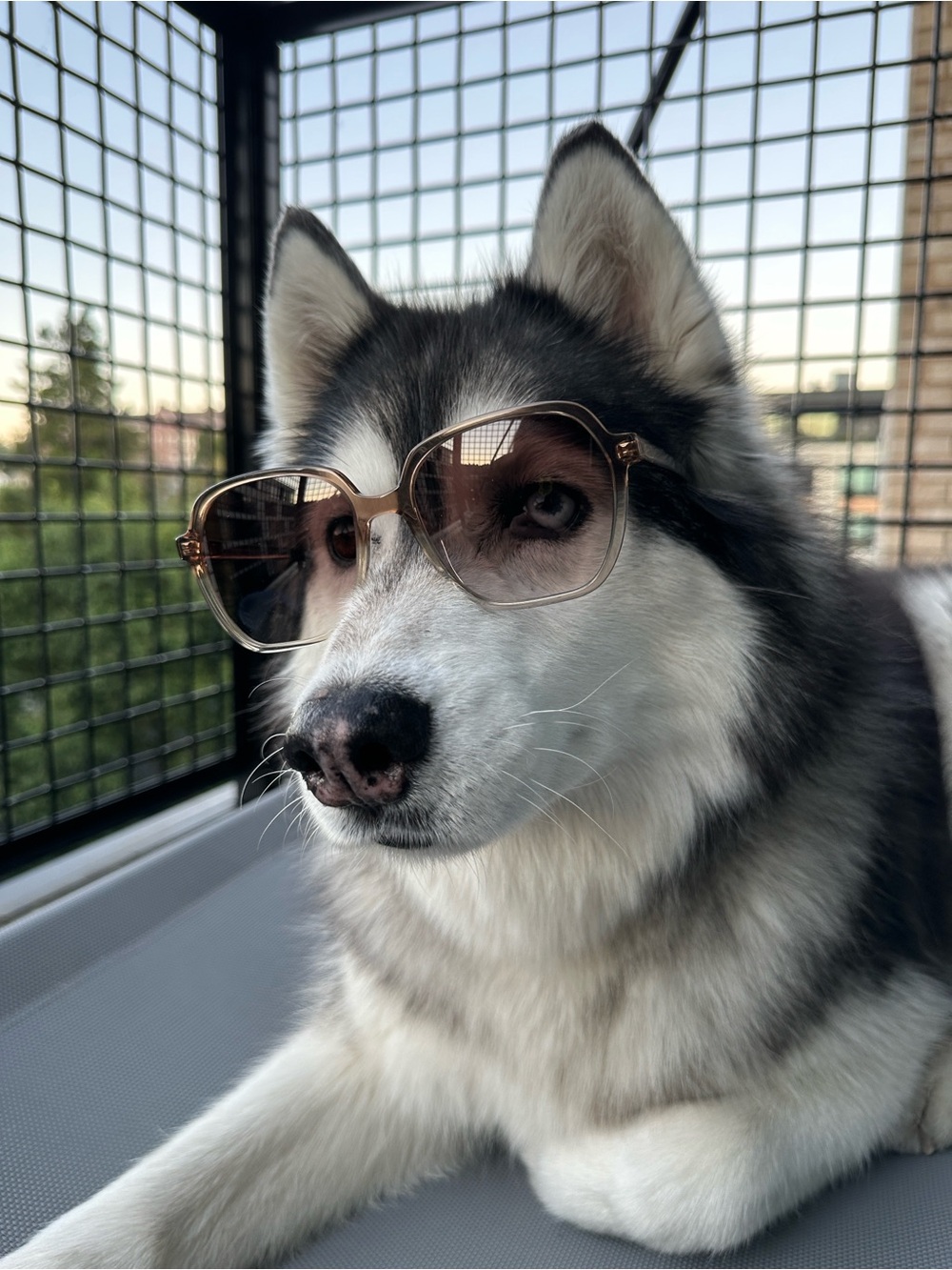 Oversized Sunglasses — Brown Gradient